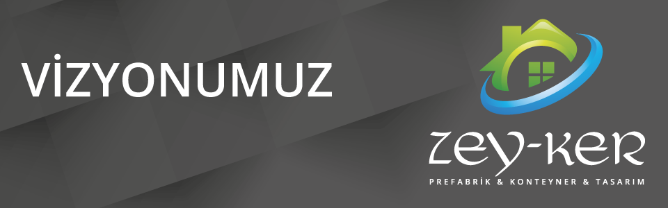 vizyon